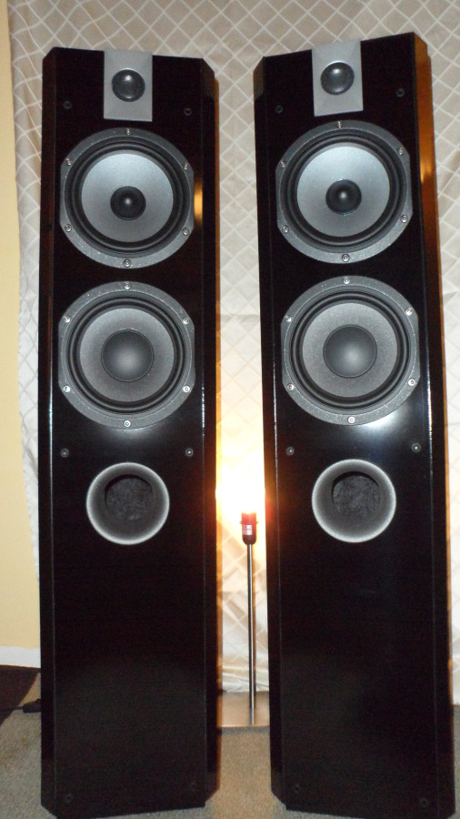 focal chorus 814v